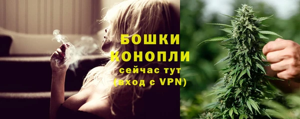 хмурый Козловка