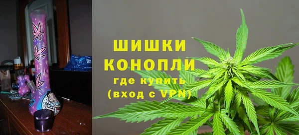 хмурый Козловка