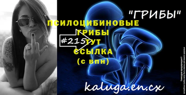 первитин Козельск