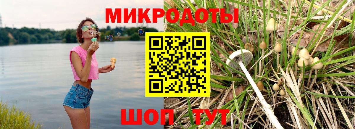 Усть-Кут  Псилоцибиновые грибы ЛСД  Псилоцибиновые грибы Cubensis  купить   Вход с VPN 